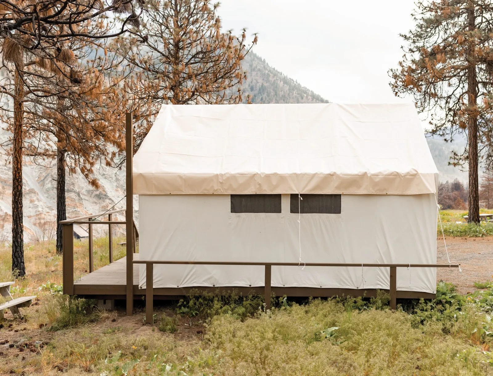 A white canvas cabin on a wooden deck among ponderosa pines.