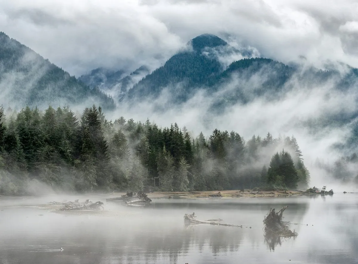 Mist hangs over forested mountains and a still inlet near Port Renfrew on Vancouver Island’s west coast.