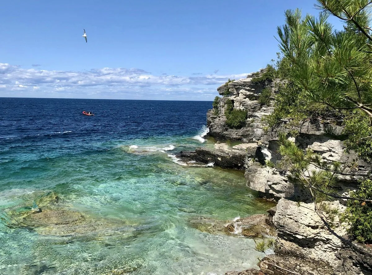 Clear turquoise water below pale limestone cliffs and pine trees on the Georgian Bay shore near Tobermory.