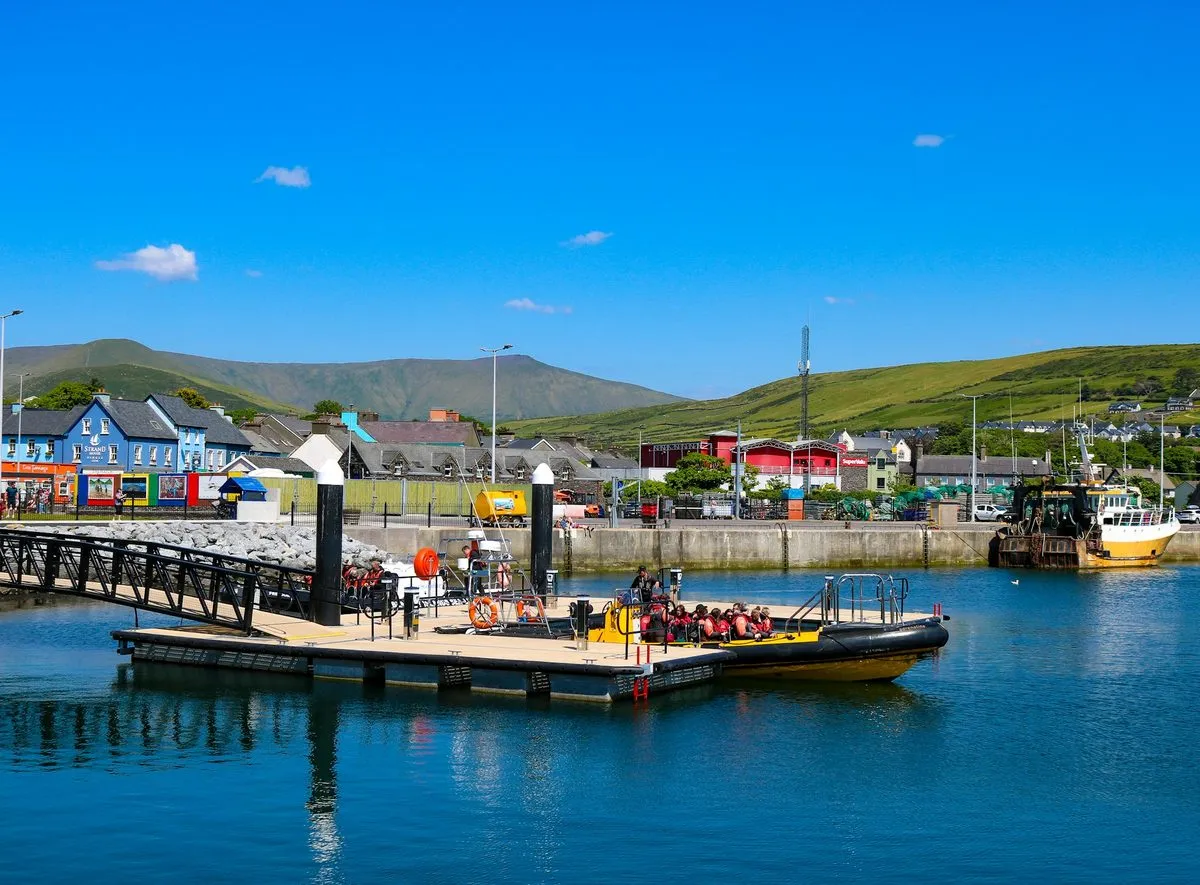 Tour boats tied to a pontoon in Dingle harbour, with painted buildings and green hills behind.
