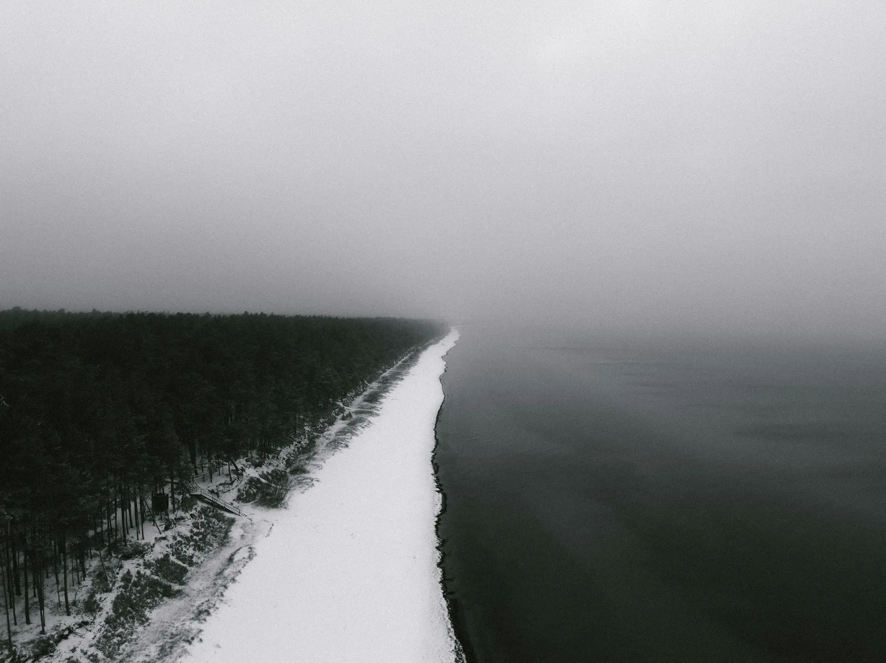 A snow-covered beach curves between a pine forest and calm water beneath a foggy winter sky.