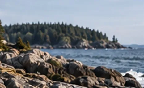 A rocky shoreline and a forested island under a clear sky.