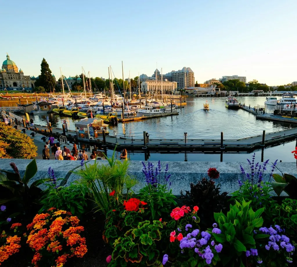 Boats and waterfront buildings surround Victoria's Inner Harbour, with flowers in the foreground.