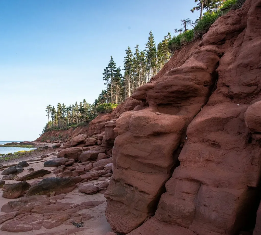 Red sandstone cliffs topped with spruce trees above a rocky shore at Panmure Island, Prince Edward Island.