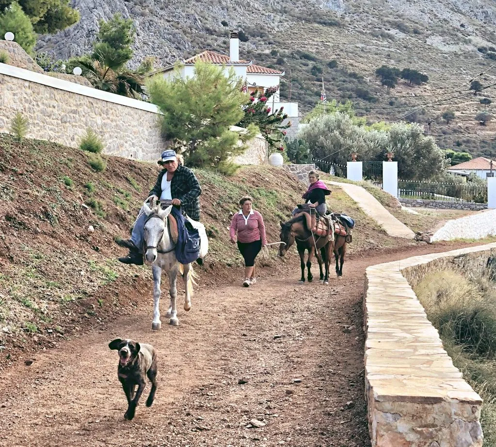 Riders on Hydra’s working horses and mules come down a dirt path with a walker between them and a dog trotting ahead.
