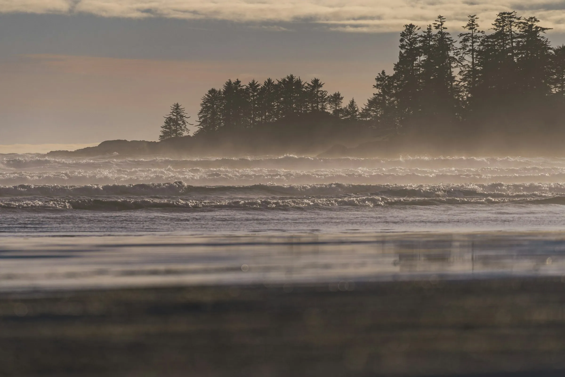 Waves rolling onto a wide beach in low golden mist, with a dark line of spruce on a headland behind.