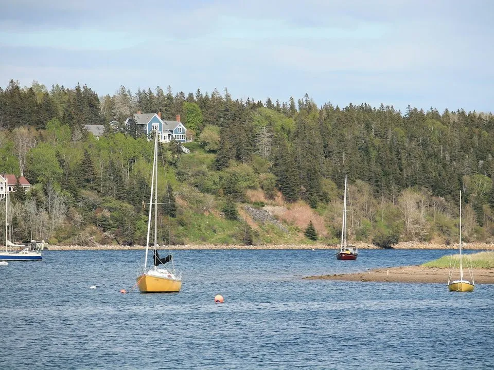 A yellow sailboat on a mooring in a quiet bay near Lunenburg, below a wooded shore.