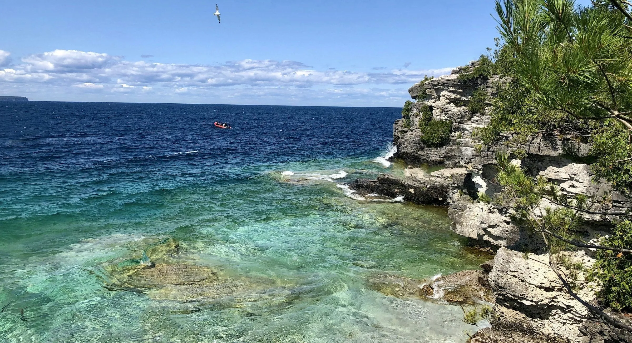 Clear turquoise water below pale limestone cliffs and pine trees on the Georgian Bay shore near Tobermory.