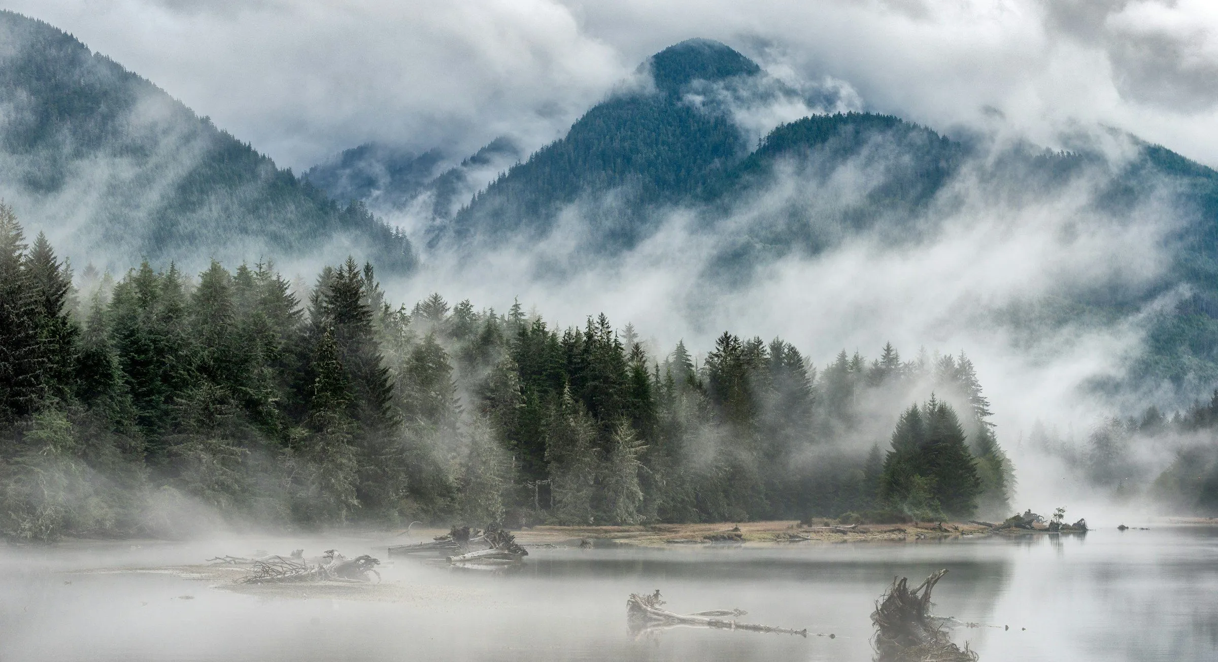 Mist hangs over forested mountains and a still inlet near Port Renfrew on Vancouver Island’s west coast.