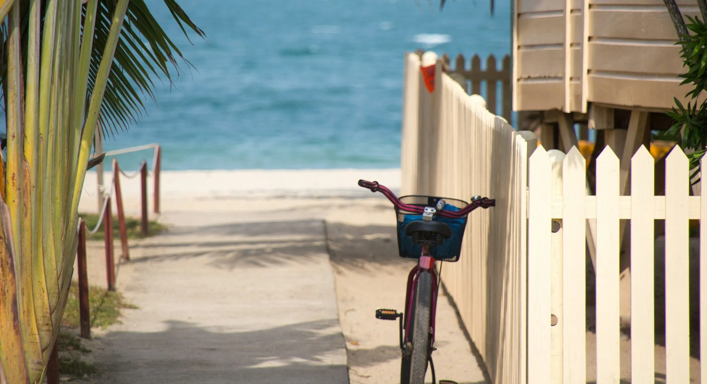 A bicycle with a basket leans on a cream picket fence beside a sandy path to the beach in Key West, with the sea beyond.