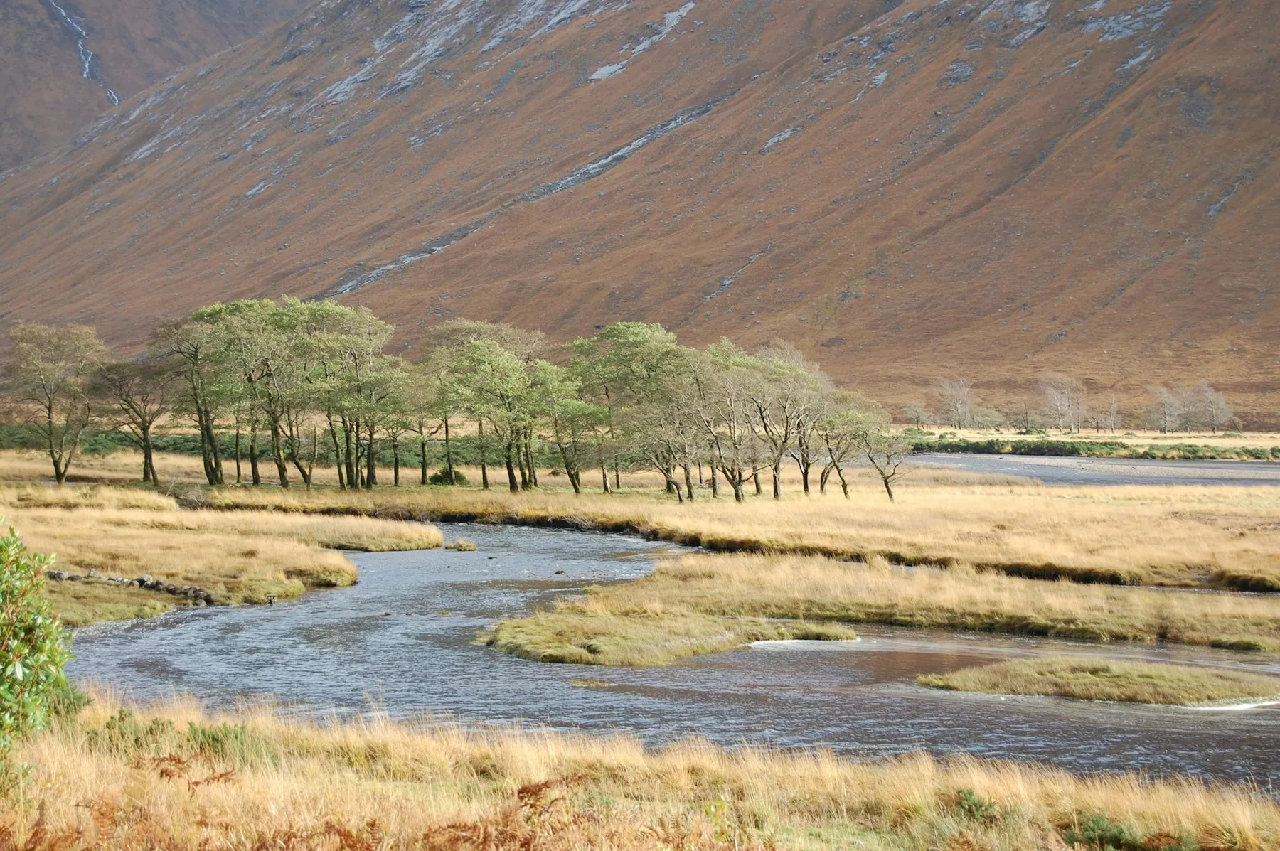 The River Etive winding through grass flats past a line of trees at the head of Loch Etive.