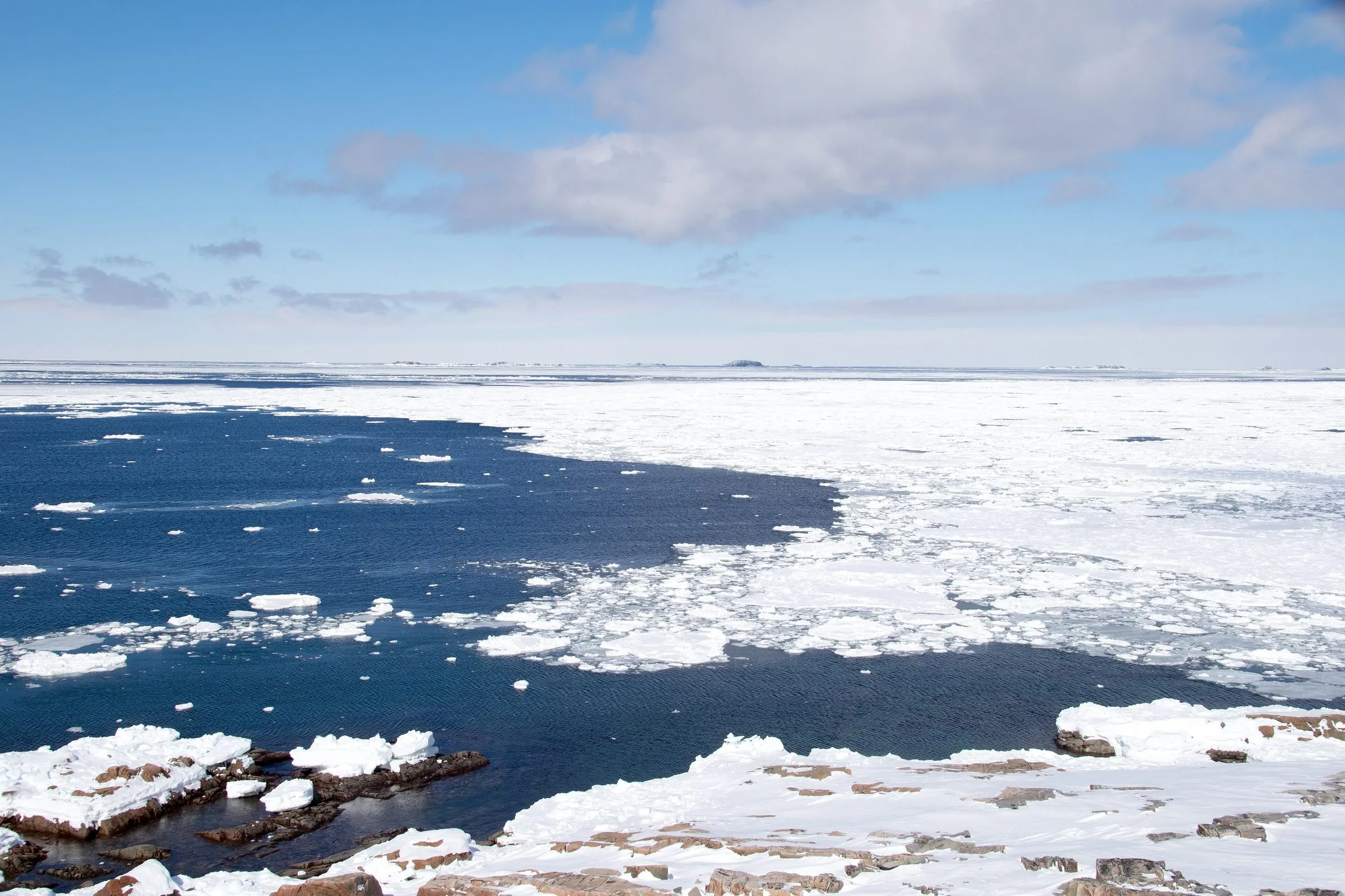 Pack ice drifting on dark blue sea, seen from a snow-covered shore under a bright sky.