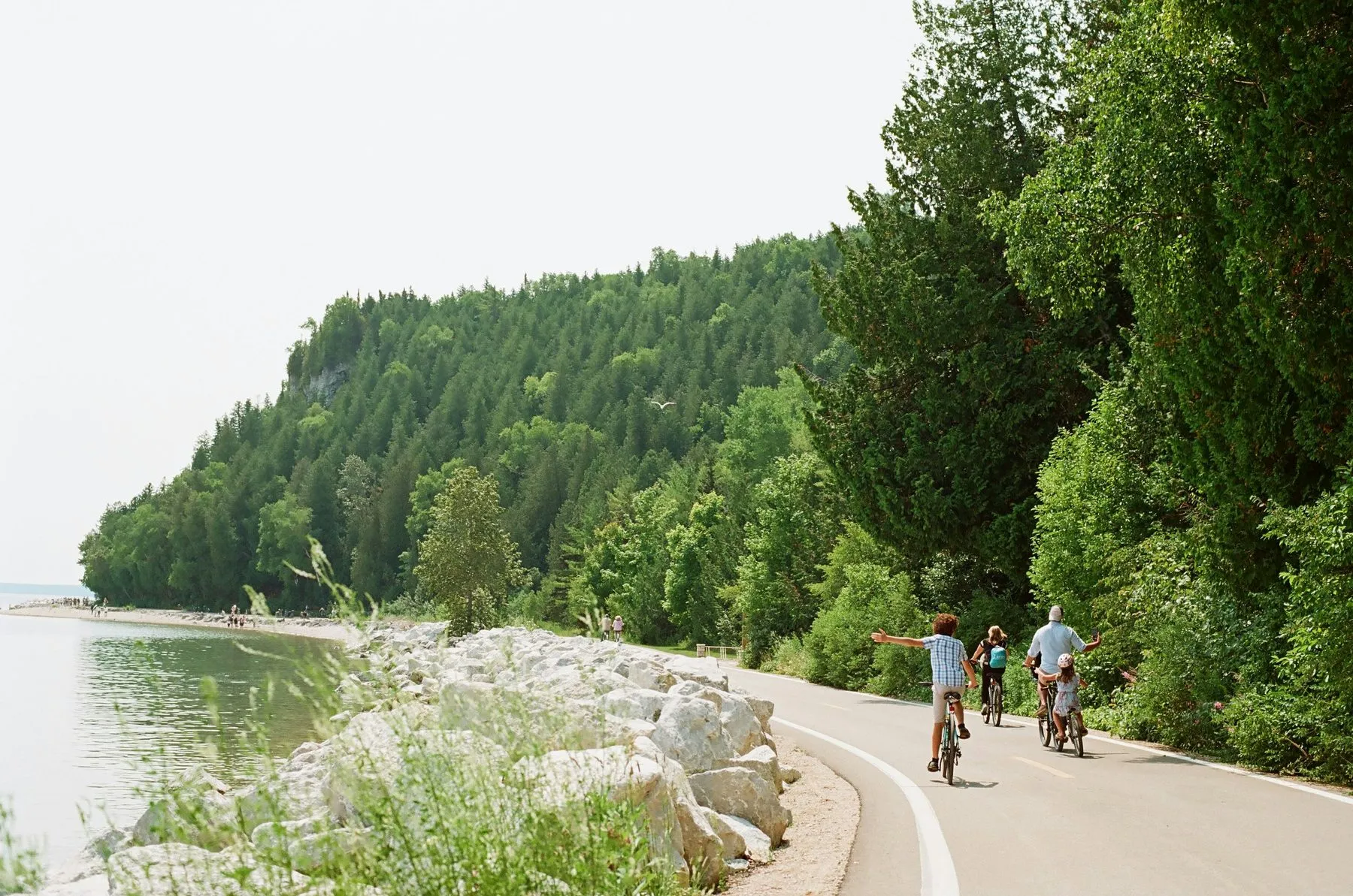 A few cyclists on a paved road that curves along the lake shore under a wooded bluff.