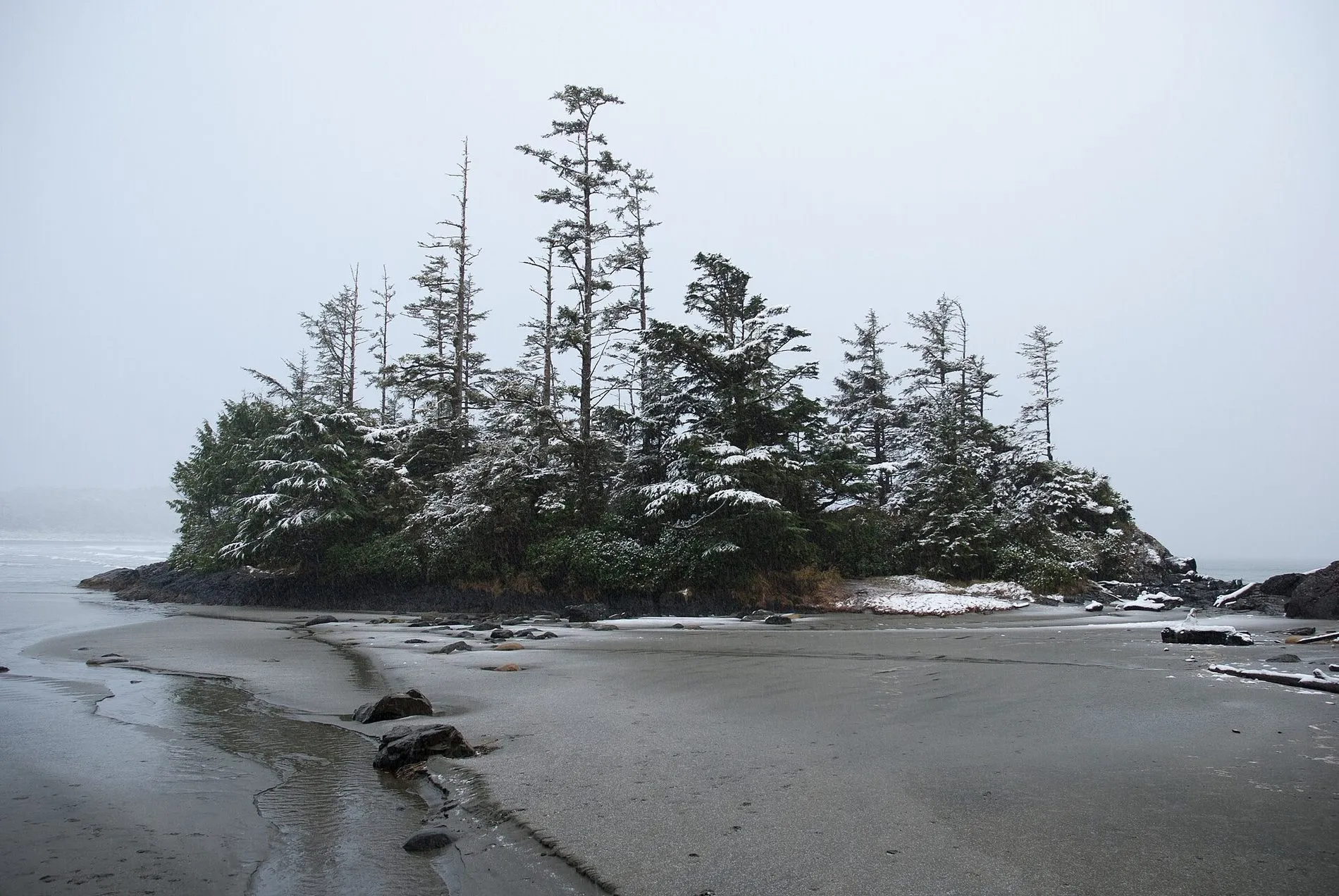 A small rocky island covered in snow-dusted spruce trees, on a grey beach at low tide.