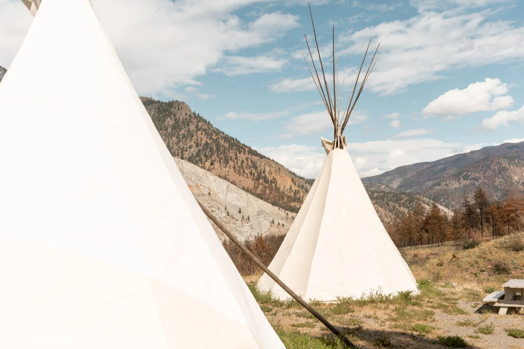 Two white canvas teepees on dry grass with bare hills behind them.